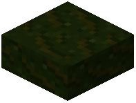 Deep Roots Slab