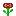 Disc Flower