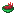 Fire Coral Stew