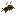 Fried Leaf