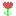 Great Rose