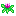 Ipomoea