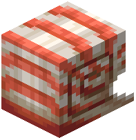 Nautilus Shell