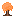Orange Bush