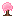 Pink Bush