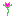 Pink Flower
