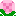 Cherry Flower