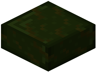 Polished Deep Roots Slab