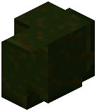 Polished Deep Roots Wall