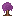Purple Bush