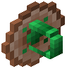Rarot Shield