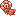Raw Nautilus