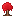 Red Bush
