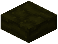 Root Slab