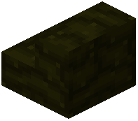 Root Stairs