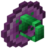 Roxit Shield