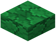 Sporestone Slab