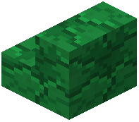 Sporestone Stairs