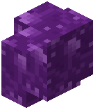 Stonethyst Wall