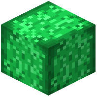 Stripped Grasswood Wood