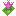 Water Flower