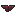 Exoplate Chestpiece