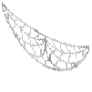 Spider Webbing