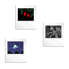 Poloroids