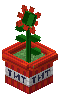 Potted Creeper Flower