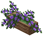 Window Planter
