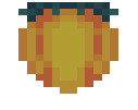 Starfruit