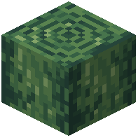 Stripped Kyaneos Log