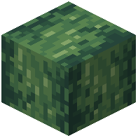 Stripped Kyaneos Wood
