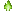 Lime Campfire