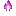 Magenta Campfire