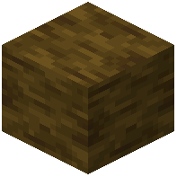 Ginkgo Wood