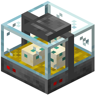 Incubator