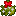 Mistletoe