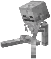 Skeleton