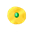 Gold Coin
