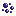 Nightshade Seeds