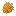 Beech Tree Seed