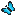 Tre's Blue Morpho Butterfly
