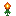 Torch Flower