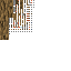 Oak Spear with Stone