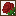 Dark Oak Shoji Rose Pattern