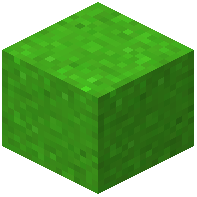 Forest Concrete Powder