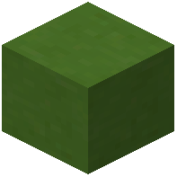 Forest Terracotta
