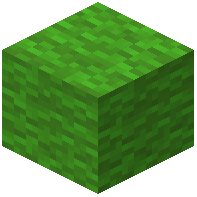 Forest Wool