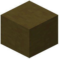 Olive Terracotta
